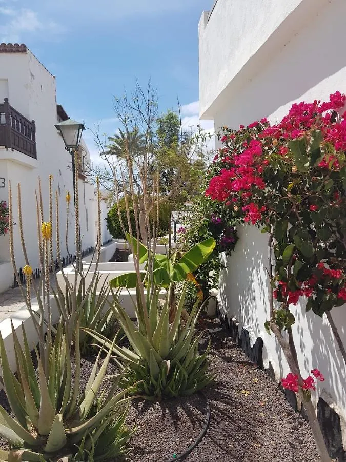 Charlotte Apartment Up Arona  0*, Arona (Tenerife)
