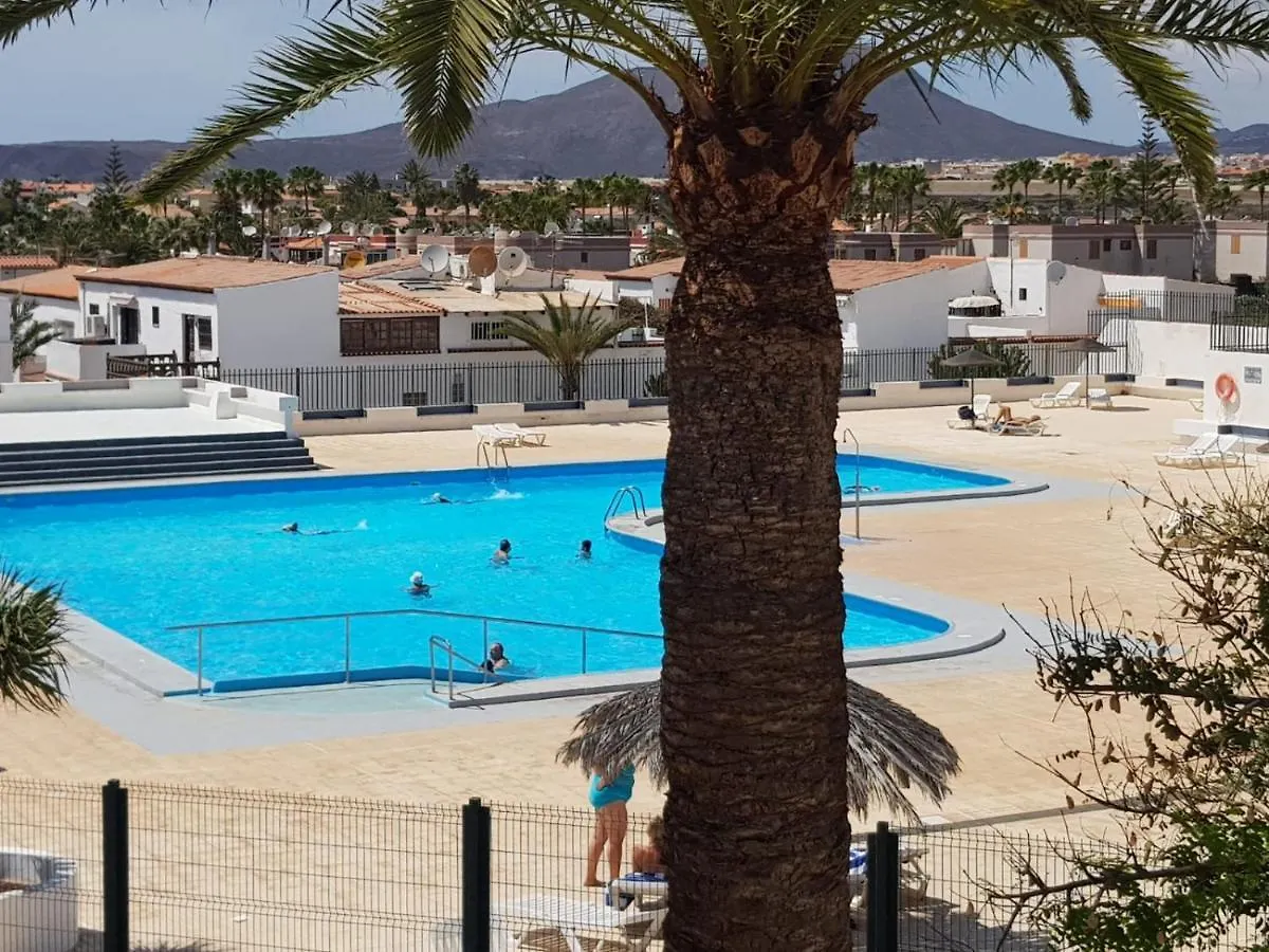 Charlotte Apartment Up Arona