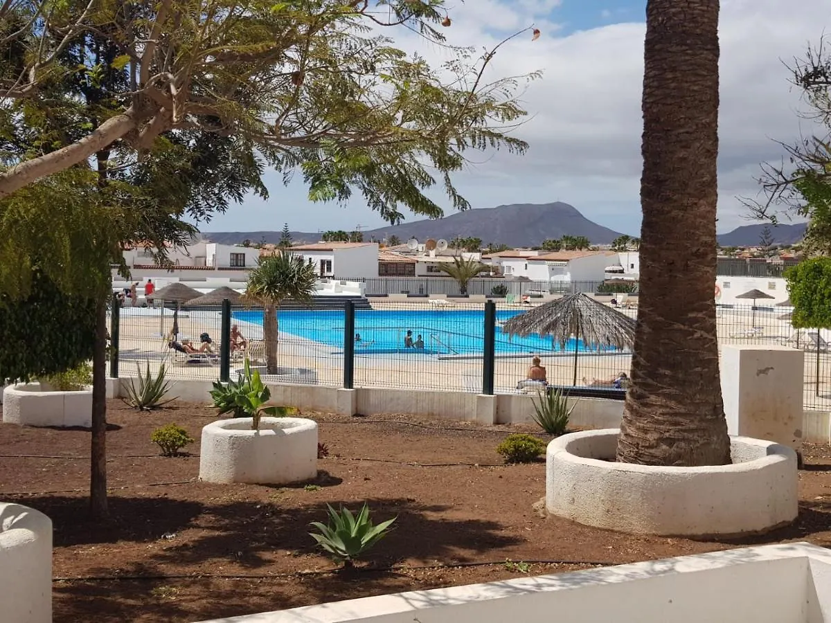 Charlotte Apartment Up Arona   Arona (Tenerife)