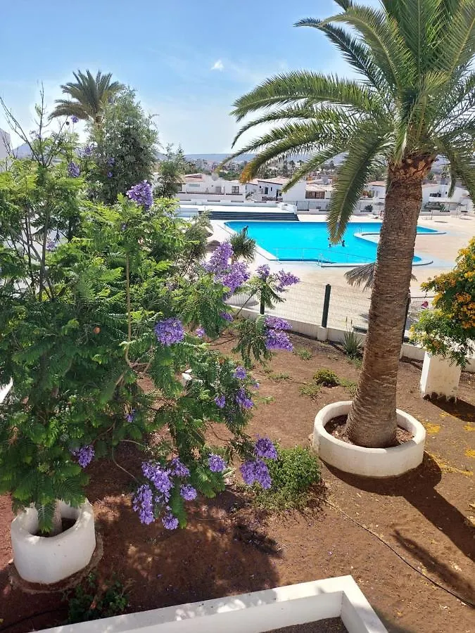 Charlotte Apartment Up Arona